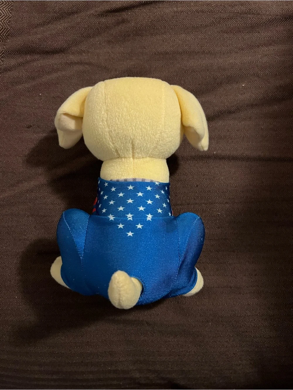 Raising Canes 2026 Limited Edition USA Olympics Plush Pup Rare No Bobsled or Hat
